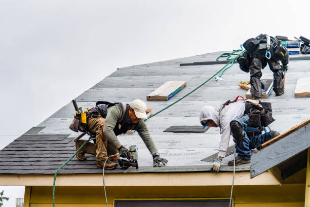 Professional Storm Damage Roof Repair technician working in Rochester, KY